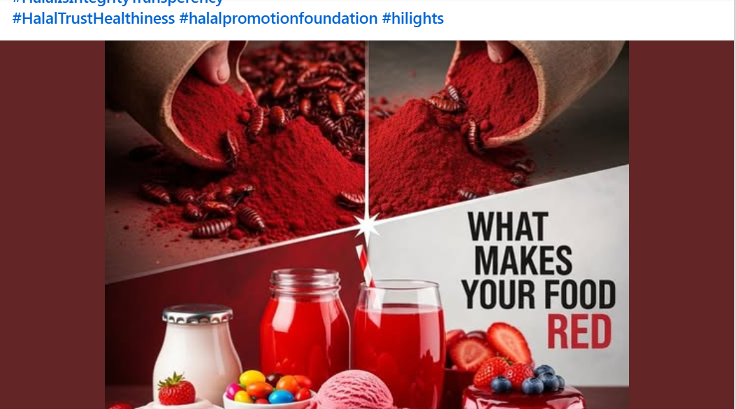 Halal pharmaceuticals